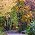 Community Lake & Quinnipiac Linear Trail
Hall Avenue & River Road